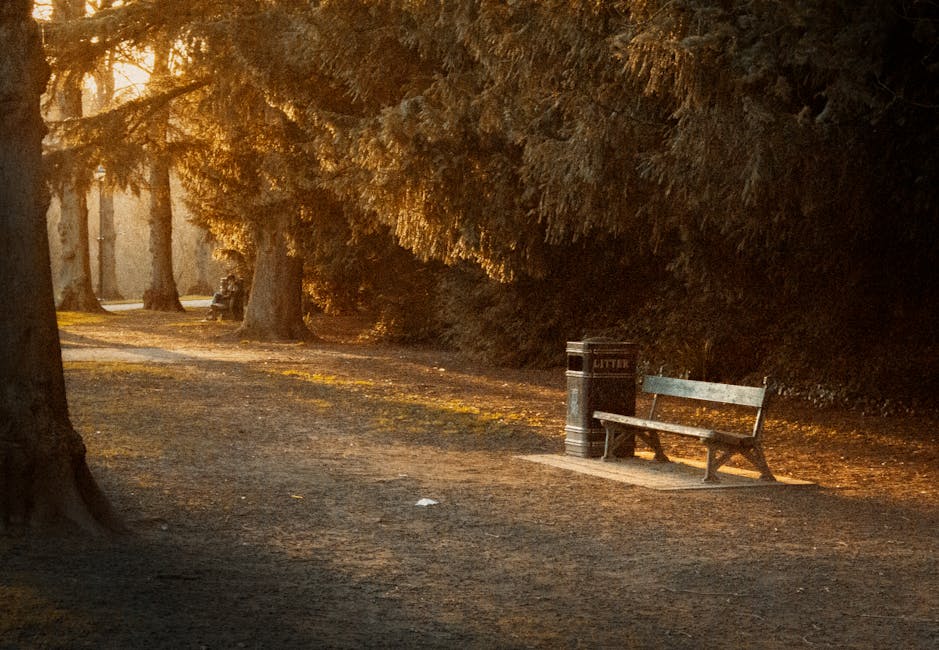 An outdoor scene in a park during late afternoon or early evening sunlight, featuring a paved walking path lined with tall trees that cast long shadows over the ground. On the right side of the path, 